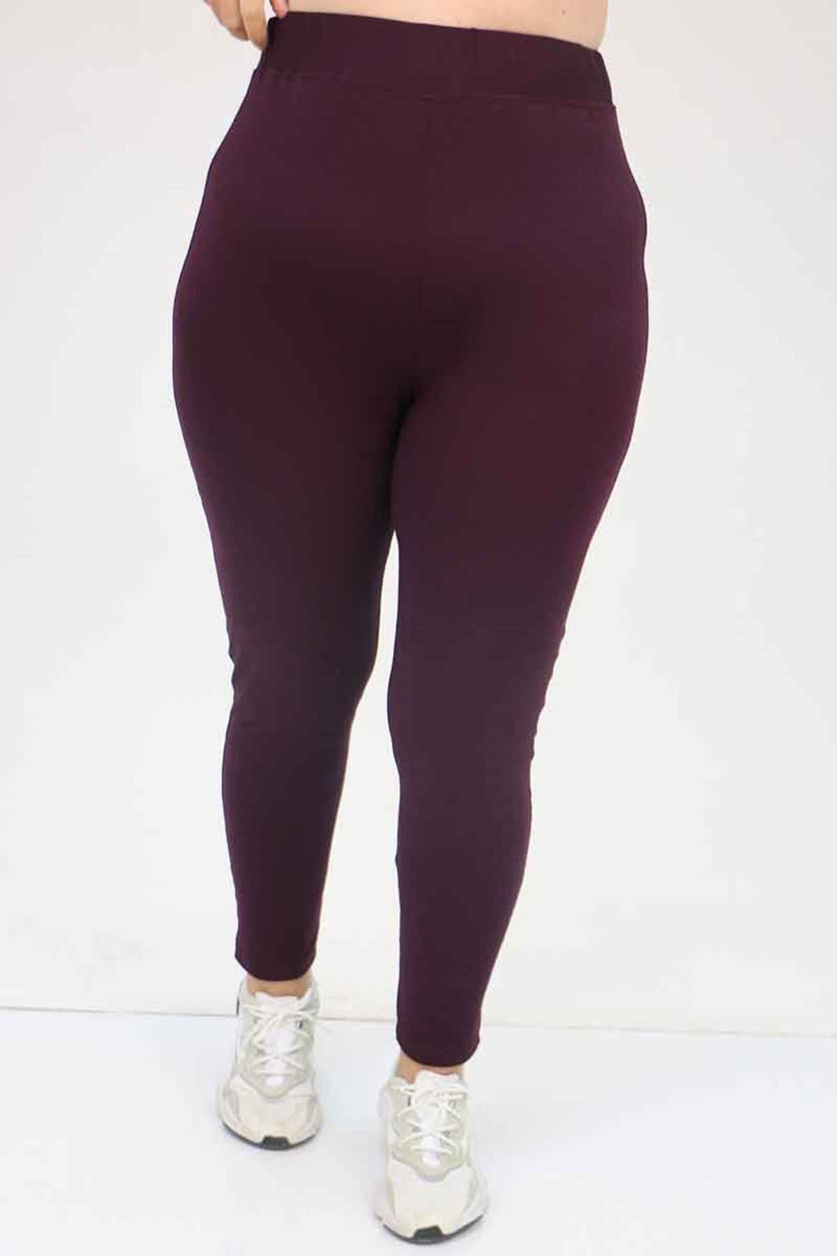 59501 Büyük Beden Penye Tayt - Mor