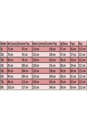 9204-1 Büyük Beden Kemerli Taş Detaylı Kot Pantolon - Kar Yıkama Buz Mavi